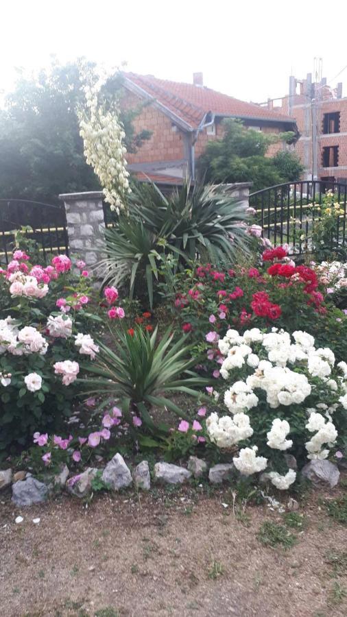 Hotel Sobe Seka Golubac Exterior foto
